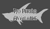 Shark placeholder Shark nopic.jpg