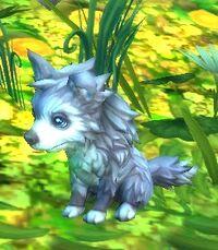 Image of Dreamway Prowler Pup
