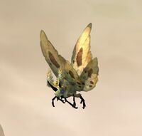 Image of Wood Moth