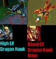 Comparison between high elf and blood elf dragonhawk riders in Warcraft III.