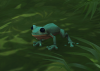 Image of Bullied Frog