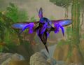 Dark blue Florawing Needler with purple highlights