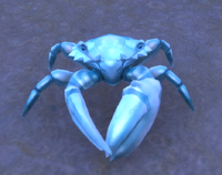 Image of Glass Crab