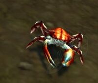 Image of Spirebound Crab