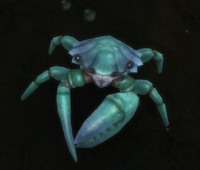 Image of Scuttleclaw Crab