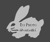 Rabbit placeholder Rabbit nopic.jpg