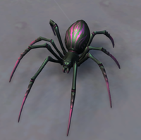 Image of Rosetipped Spiderling
