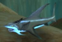 Image of Sand Shark