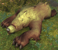 Image of Dead Bear