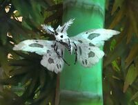 Image of Ash Moth