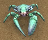 Image of Sandskitter Crab