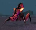 Red Silithid Ravager