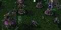 The area in Warcraft III.