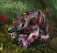 Image of Angerclaw Bear