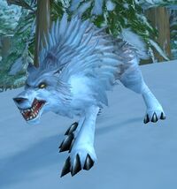 Image of Ragged Young Wolf