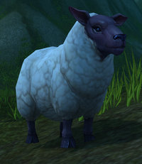Image of Docile Sheep