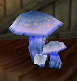 Infused Mushroom.jpg