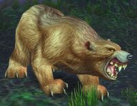 Image of Giant Ashenvale Bear