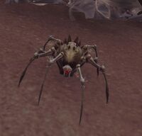 Image of Sandspinner Spiderling