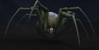 Image of Barrow Spider