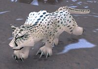 Image of Frost Leopard