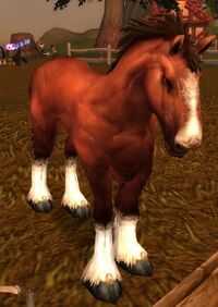 Image of Havenshire Mare