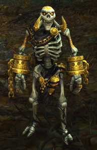 Image of Decaying Sorcerer