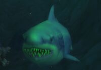 Image of Great Grey Shark