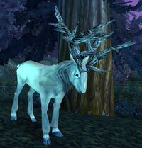 Image of Moongraze Stag