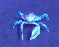 Image of Moonshell Crab
