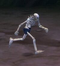 Image of Splinterbone Skeleton
