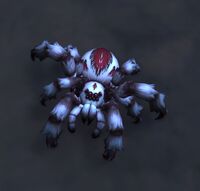 Image of Carrion Widow
