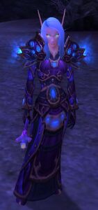 Image of Void Mage
