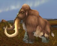 Image of Wooly Mammoth Bull