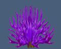 Spikeball Coral.jpg