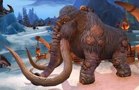 Image of Iskaara Mammoth