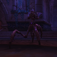 Image of Fal'dorei Silkwitch