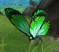 Grasstail Butterfly.jpg