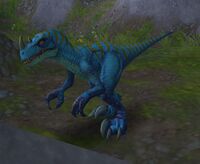 Image of Raptor