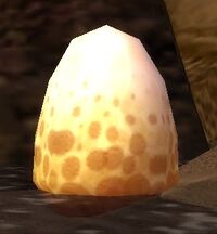 Image of Buru Egg