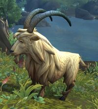 Image of Forkriver Goat