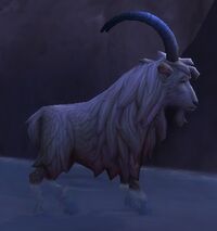 Image of Bound Goat