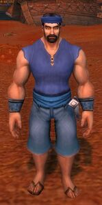 Image of Stormwind Sailor