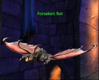 Image of Forsaken Bat