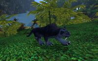 Image of Jungle Panther