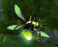 Image of Tigerfly
