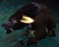 Image of Time-Charged Bear