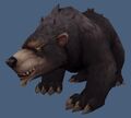 Bear New Black.jpg
