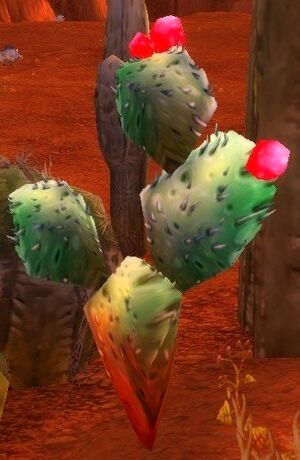 Cactus Apple.jpg