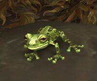 Image of Mudwallow Frog